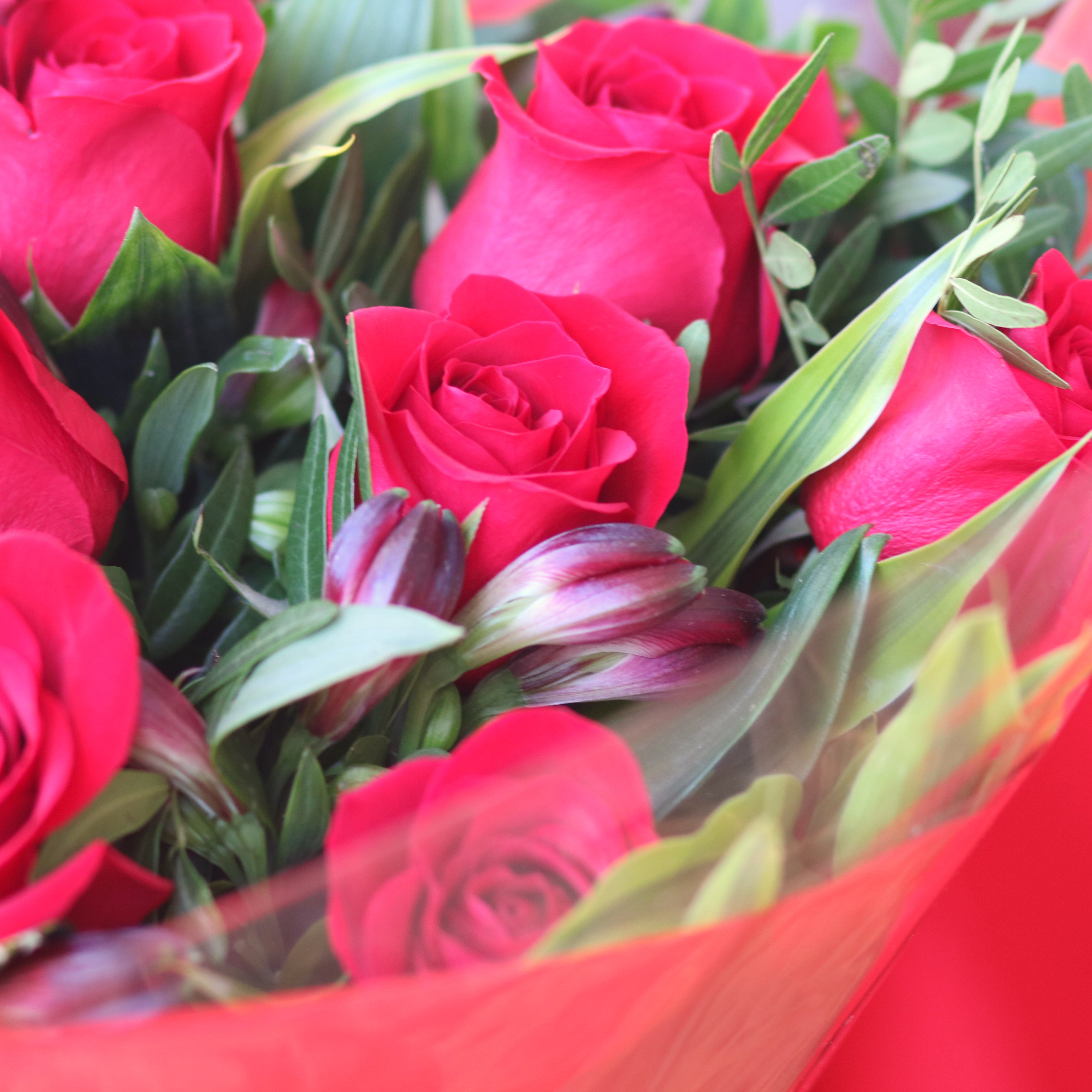 12 Red Rose Bouquet - J'Adore