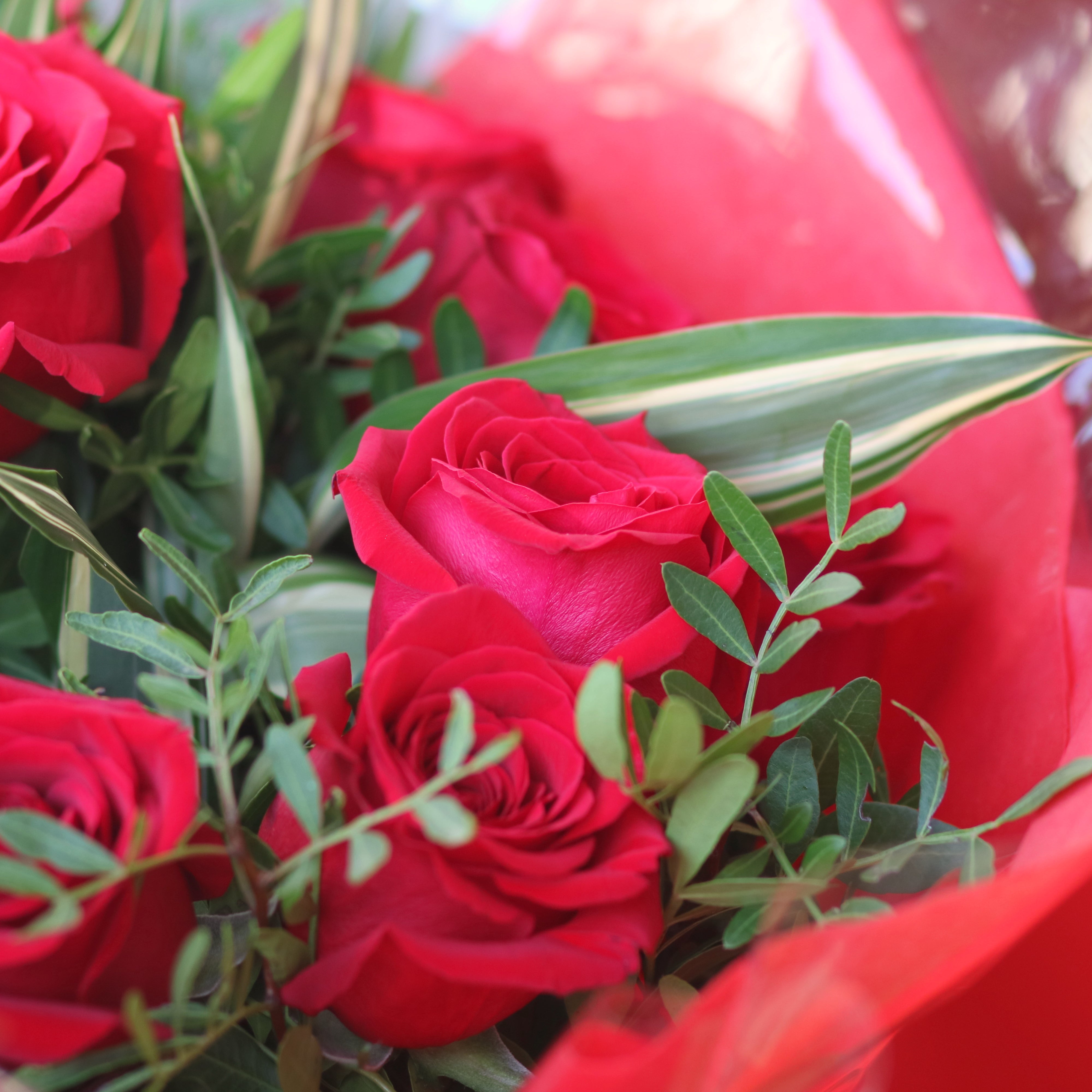 Ti Amo (12 Roses)