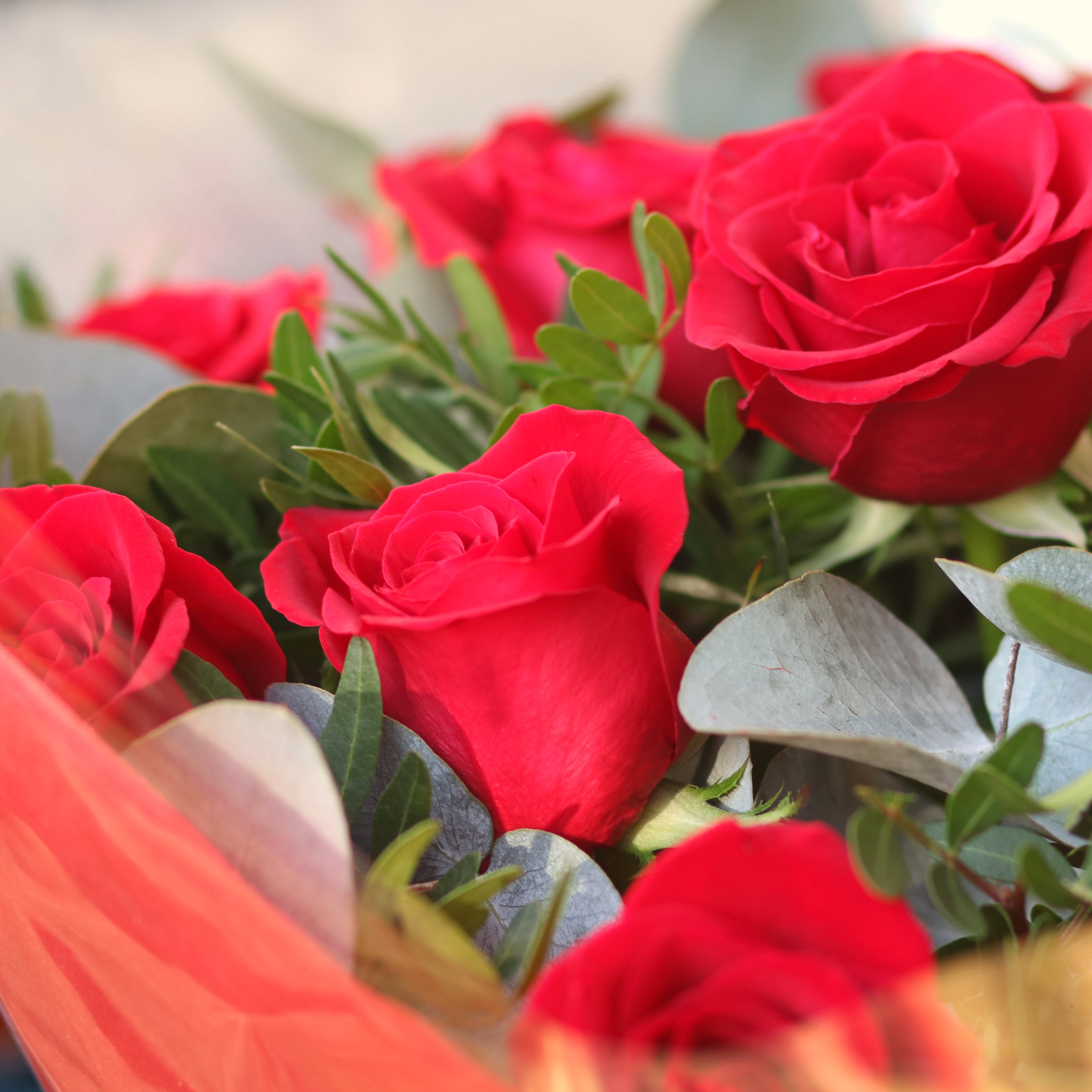 6 Red Rose Bouquet - Forever Love